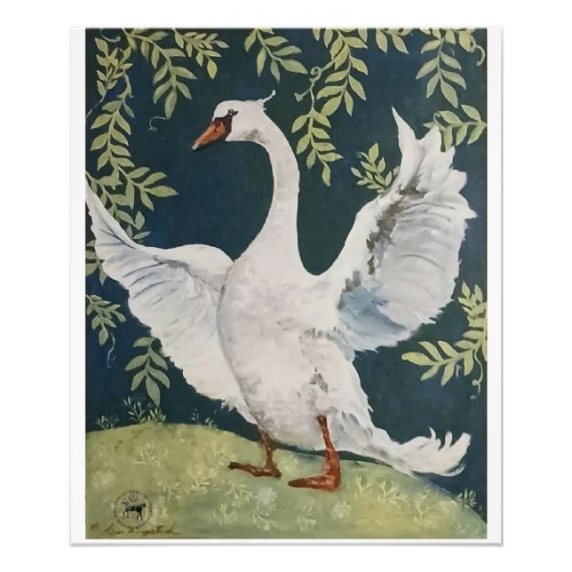 my sweet swan photo print (Front)