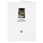 My Tabby Card (Back)