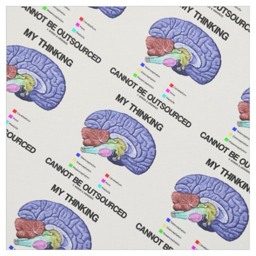 My Thinking Cannot Be Outsourced Brain Anatomy Fabric
