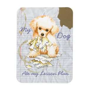 My Toy Poodle Ate my Lesson Plan Magnet