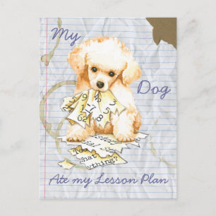 My Toy Poodle Ate my Lesson Plan Postcard