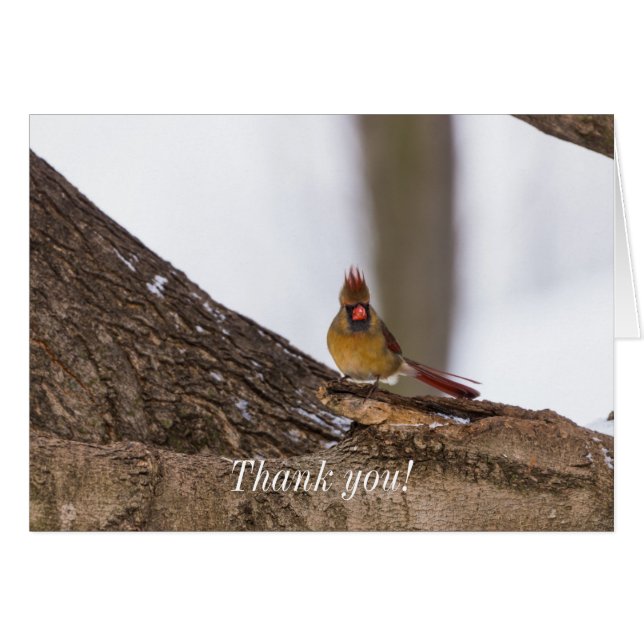 My Troll Do Thank You Card (Front Horizontal)