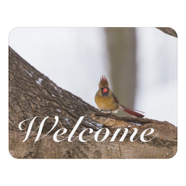 My Troll Do Welcome Door Sign (Contemporary Front)