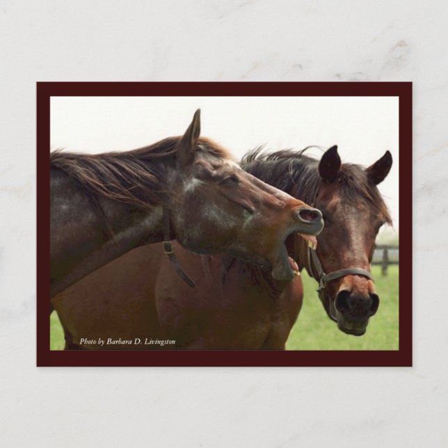 My Turbulent Miss with Taba Postcard (Front)