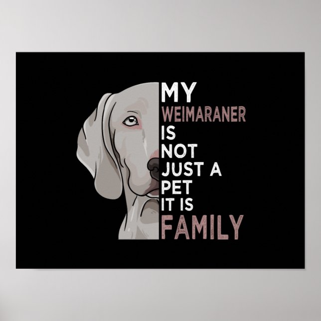 My Weimaraner is Family Poster (Front)
