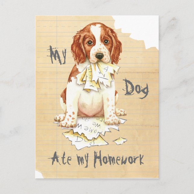 My Welsh Springer Ate My Homework Postcard (Front)