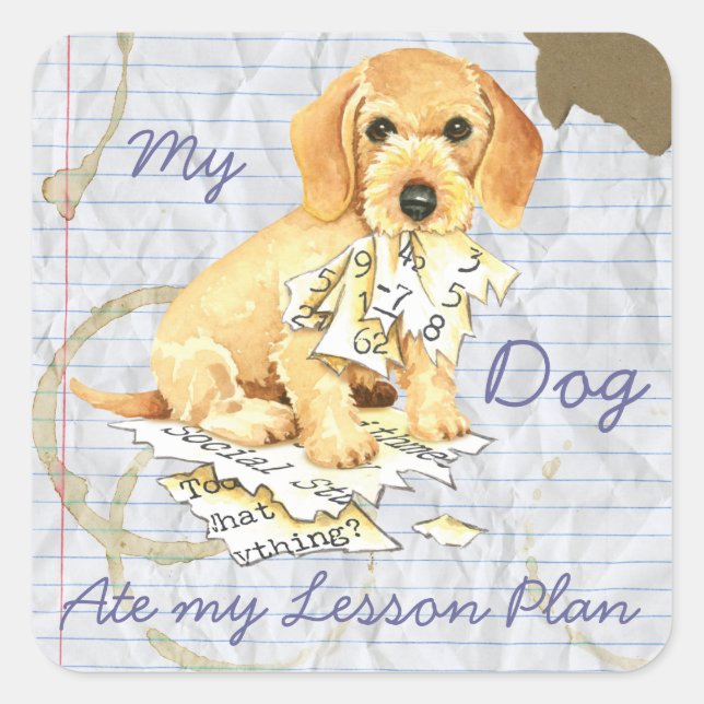 My Wirehaired Dachshund Ate my Lesson Plan Square Sticker (Front)
