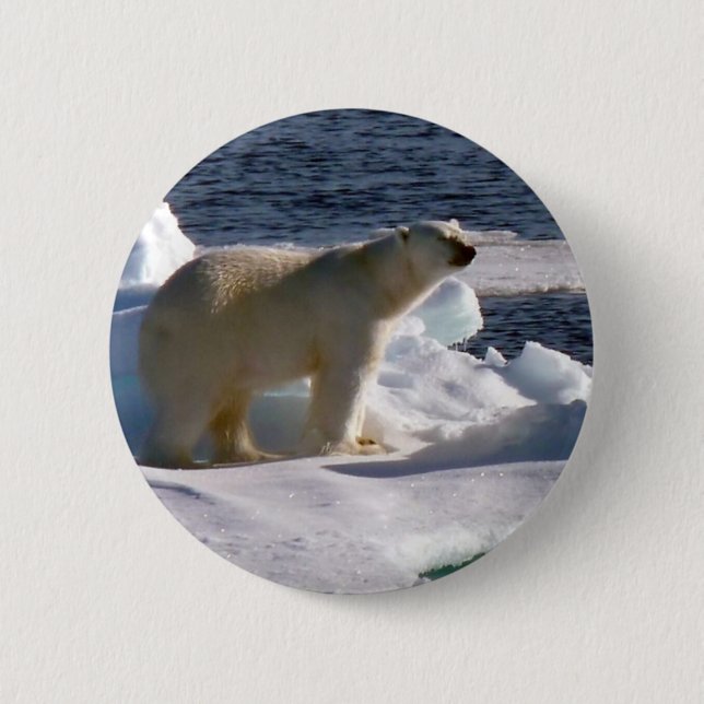 My World is melting! Pinback Button (Front)