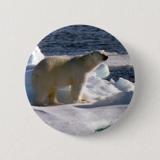 My World is melting! Pinback Button