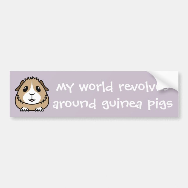 My World Revolves...Guinea Pig Bumper Sticker (Front)