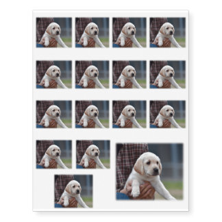 My Yellow Labrador Temporary Tattoos