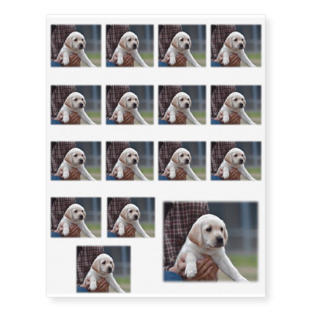 My Yellow Labrador Temporary Tattoos (Front)