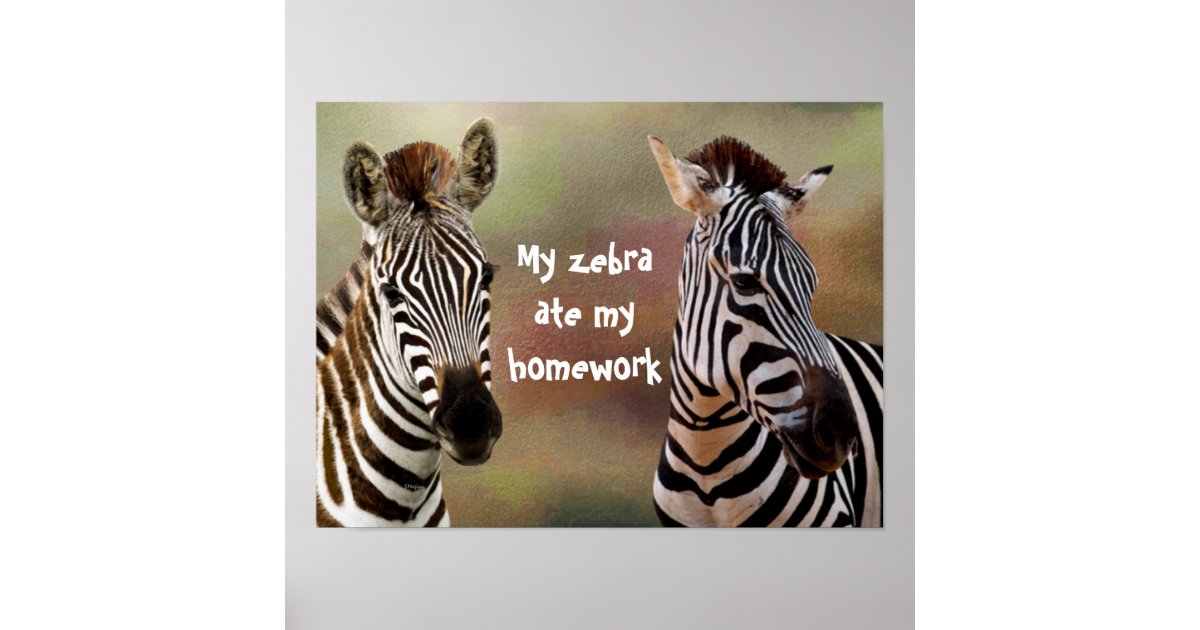 About zebra in simple words picture