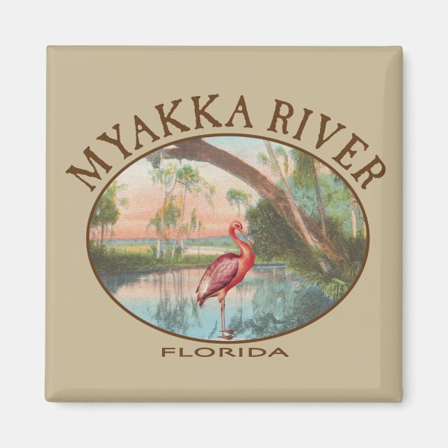 Myakka River Florida with Roseate Spoonbill Magnet (Front)