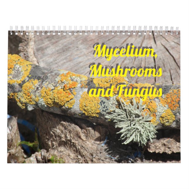 Mycelium, Mushrooms and Fungus Calendar (Cover)