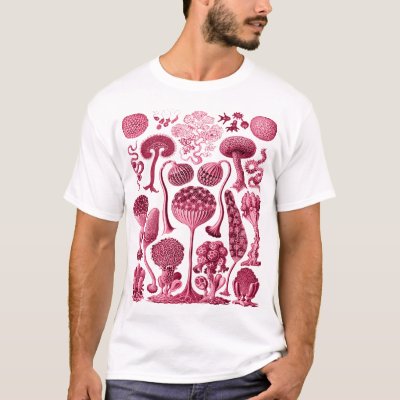 Mycetozoa - Kunstformen der Natur (1904) by Ernst T-Shirt