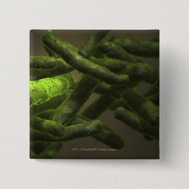 Mycobacterium tuberculosis cells button (Front)