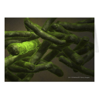 Mycobacterium tuberculosis cells cards