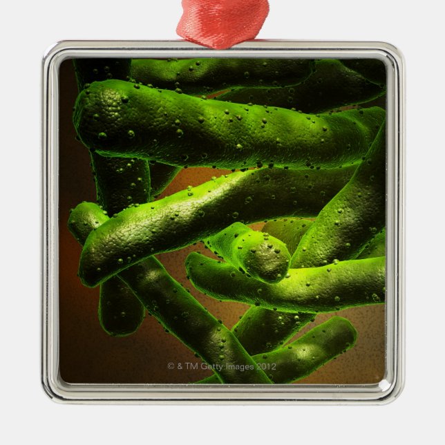 Mycobacterium Tuberculosis Metal Ornament (Front)
