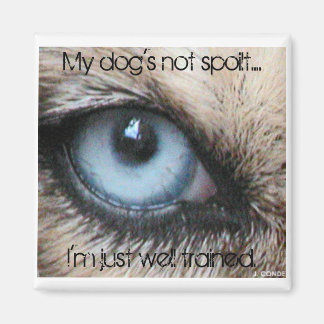 Mydogs not spoilt, I'm just well trained Magnet