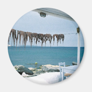 Mykonos, Greece Magnet