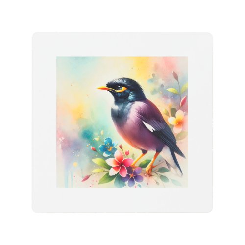 Myna Bird 050724AREF103 _ Watercolor Metal Print