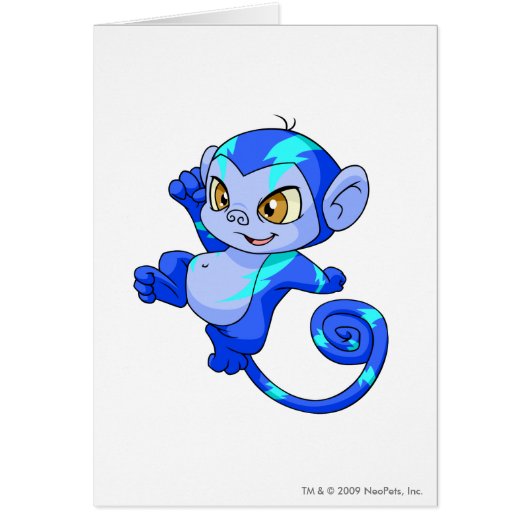 Mynci Electric (Front)