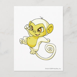 Mynci White Postcard
