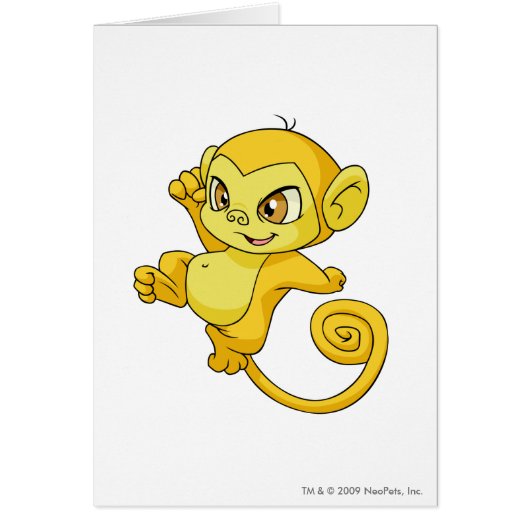 Mynci Yellow Cards (Front)