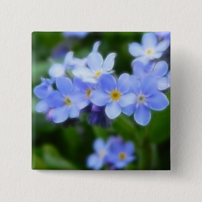 Myosotis sylvatica - Forget Me Nots Pinback Button (Front)