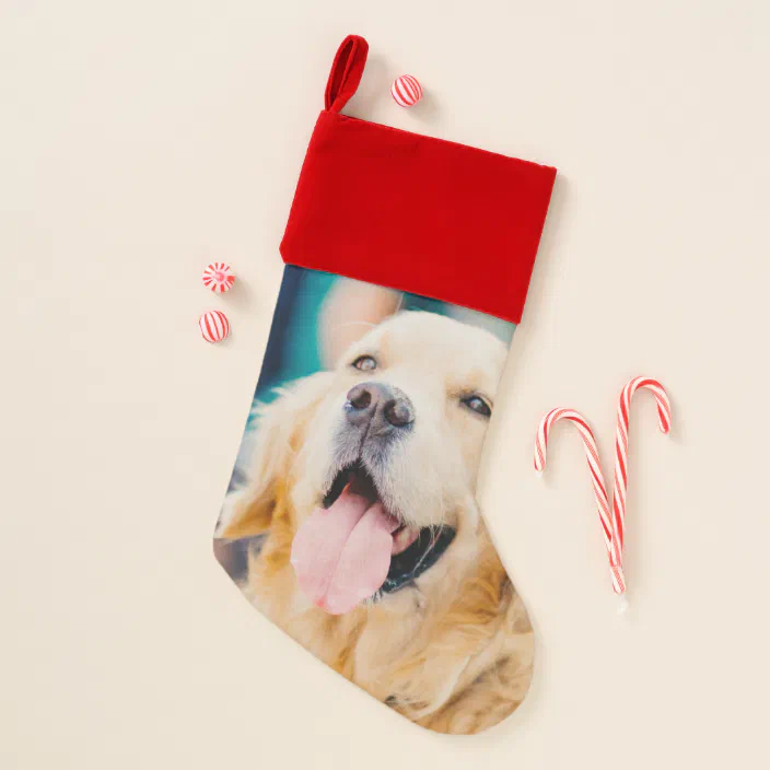 Celebrate It Christmas Holiday Tumbler New Puppy Love Golden Retriever 