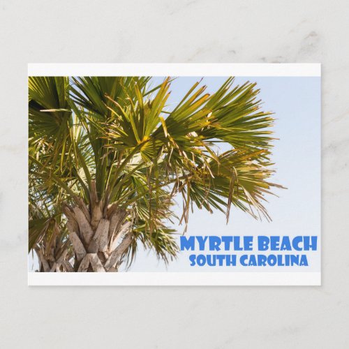 Myrtle Beach South Carolina Palm Tree Vacation Postcard