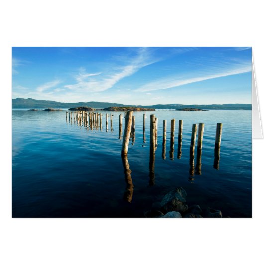 Myrtle Remnants (Front Horizontal)