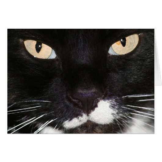 Mysterious (Front Horizontal)