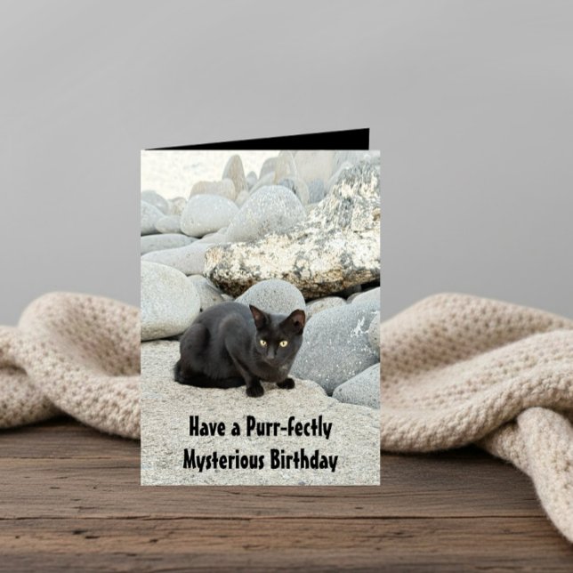 Mysterious black birthday cat card (Creator Uploaded)