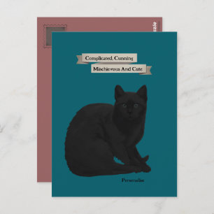 Mysterious Black Cat Quote Personal Teal Pink Postcard
