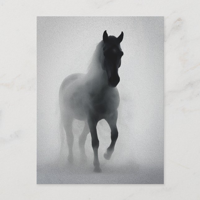 Mysterious Black Horse Emerging from Mist Postcard (Front)