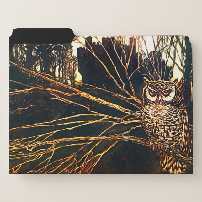 Mysterious castle in the woods and owl file folder (Front Left)
