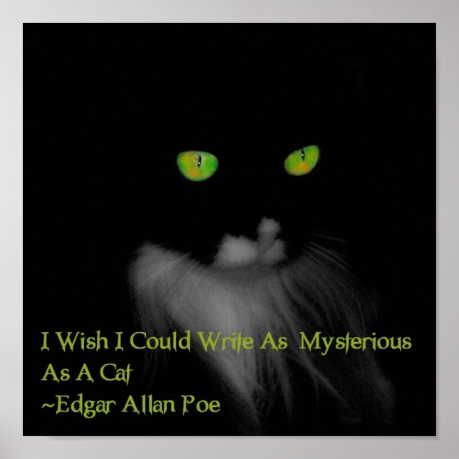 Mysterious Cat Poster (Front)