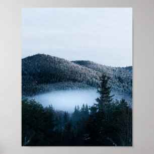 Mysterious fog trapped in winter spruce forest poster
