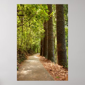 Mysterious Forest Path Poster by ImageAustralia at Zazzle