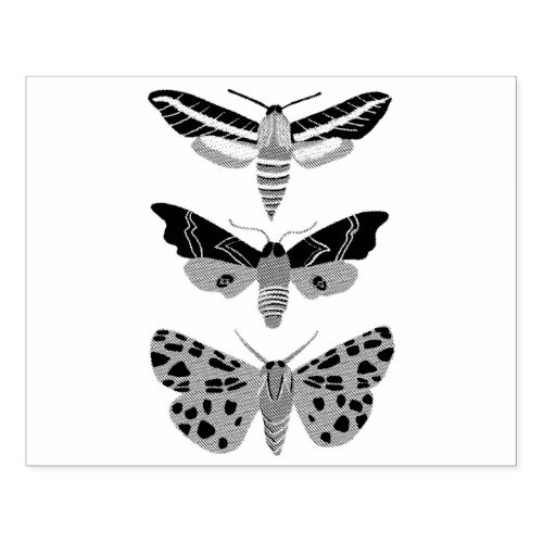 Mysterious Magical Moths Trio Hand Drawn Rubber Stamp