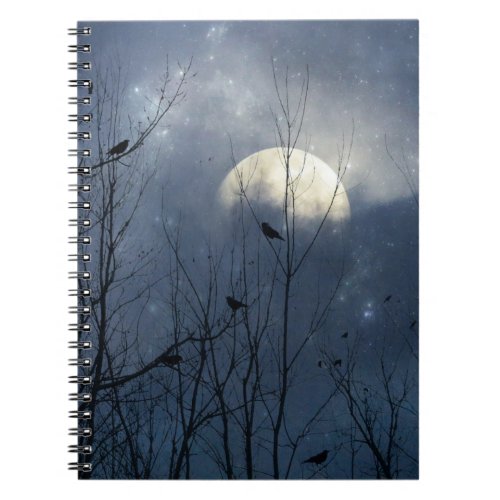 Mysterious Night Of The Stars And Crows Notebook