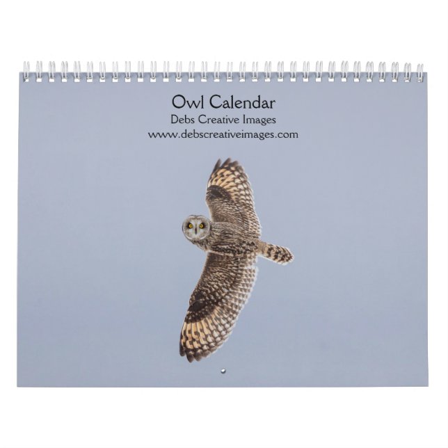 Mysterious Owl Calendar 2026 (Cover)