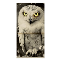 Mysterious Owl Newspaper Print - Vintage Folklore