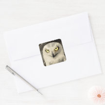 Mysterious Owl Newspaper Print - Vintage Folklore