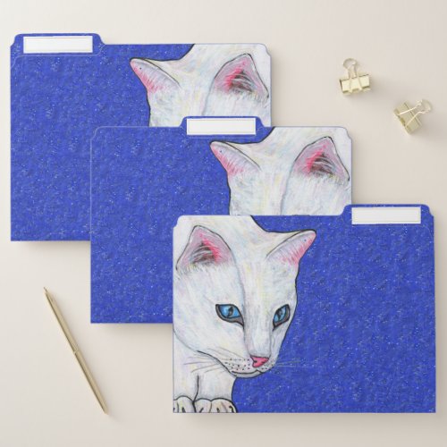 Mysterious White Cat Pale Blue Eyes Sparkle Blue File Folder