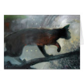 Mystery Cat (Front Horizontal)