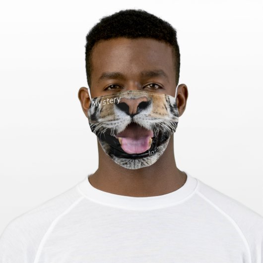 Mystery - face mask (Worn)