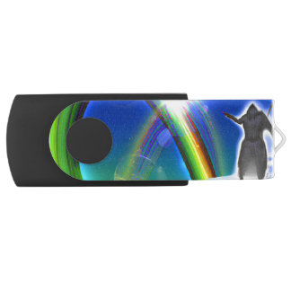 Mystery Figure at the Inter-Dimensional Stargate Flash Drive